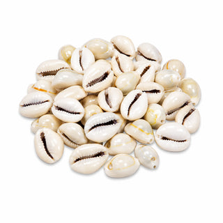 Kaodiyaan Shells